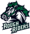 Cedar Rapids RoughRiders 2012 13 Primary Logo Print Decal
