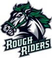 Cedar Rapids RoughRiders 2012 13 Primary Logo Iron On Transfer