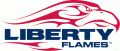 Liberty Flames 2004-2012 Primary Logo Print Decal