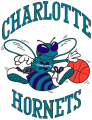 Charlotte Hornets 1988 89-2001 02 Primary Logo Print Decal