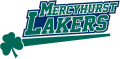 Mercyhurst Lakers 2009-Pres Primary Logo Print Decal