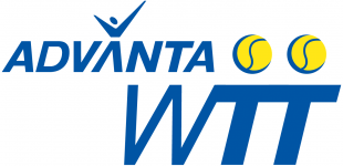 World TeamTennis 2008-2009 Primary Logo Print Decal