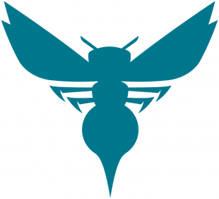 Charlotte Hornets 2014 15-Pres Alternate Logo 04 Iron On Transfer