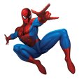 Spider Man Logo 01 Iron On Transfer