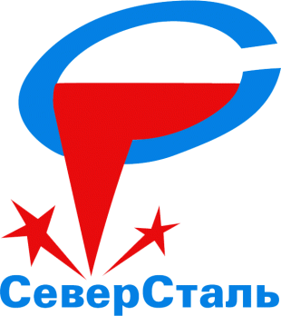 Severstal Cherepovets 2008 09 Primary Logo Iron On Transfer