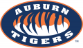 Auburn Tigers 1998-Pres Alternate Logo 04 Print Decal