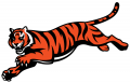 Cincinnati Bengals 1997-Pres Alternate Logo Print Decal