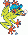 Everett AquaSox 1997-2009 Cap Logo Print Decal