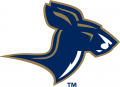 Akron Zips 2002-2007 Alternate Logo 02 Print Decal