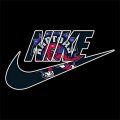 Toronto Raptors Nike logo Print Decal