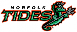 Norfolk Tides 2016-Pres Primary Logo Print Decal