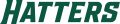 Stetson Hatters 2018-Pres Wordmark Logo 02 Print Decal