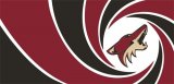 007 Arizona Coyotes logo Iron On Transfer