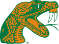 Florida A&M Rattlers 2006-Pres Alternate Logo Print Decal