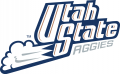 Utah State Aggies 1996-2011 Wordmark Logo 01 Iron On Transfer