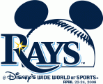 Tampa Bay Rays 2008 Special Event Logo Iron On Transfer