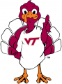 Virginia Tech Hokies 2000-Pres Mascot Logo 02 Print Decal