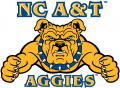 North Carolina A&T Aggies 2006-Pres Primary Logo Iron On Transfer