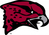 Maryland-Eastern Shore Hawks 2007-Pres Primary Logo Iron On Transfer