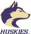 Washington Huskies 2001-2011 Alternate Logo 01 Print Decal