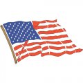 Flag Logo 06 Print Decal