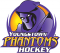 Youngstown Phantoms 2012 13-2013 14 Primary Logo Print Decal
