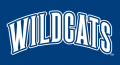 Villanova Wildcats 1996-Pres Wordmark Logo 01 Print Decal