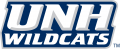 New Hampshire Wildcats 2000-Pres Wordmark Logo 03 Print Decal
