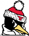 Youngstown State Penguins 1993-Pres Alternate Logo 06 Iron On Transfer