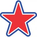 USA Logo 12 Iron On Transfer