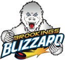 Brookings Blizzard 2012 13-2015 16 Primary Logo Iron On Transfer
