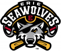 Erie SeaWolves 2013-Pres Primary Logo Print Decal