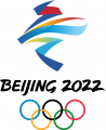 2022 Beijing Olympics 2022 Primary Logo Print Decal