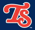 Tennessee Smokies 2003-2006 Cap Logo 2 Print Decal