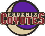 Arizona Coyotes 1996 97-1998 99 Alternate Logo 02 Print Decal