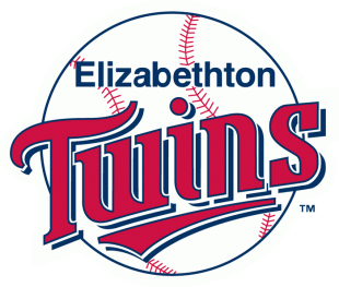 Elizabethton Twins 1987-Pres Primary Logo Iron On Transfer