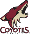 Arizona Coyotes 2003 04-2013 14 Alternate Logo Print Decal