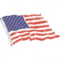 Flag Logo 10 Print Decal