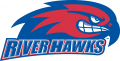 UMass Lowell River Hawks 2005-Pres Secondary Logo Print Decal