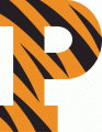 Princeton Tigers 1984-Pres Primary Logo Print Decal