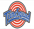Tune Squad logos Iron On Transfers