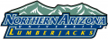 Northern Arizona Lumberjacks 2005-2013 Wordmark Logo Print Decal