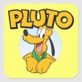 Pluto Logo 15 Print Decal