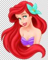 Ariel Logo 02 Print Decal