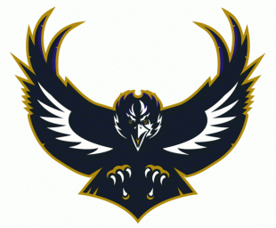 Baltimore Ravens 1996-1998 Alternate Logo 02 Iron On Transfer