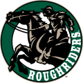 Cedar Rapids RoughRiders 2011 12-Pres Alternate Logo Iron On Transfer