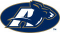 Akron Zips 2002-Pres Secondary Logo Print Decal