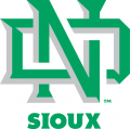 North Dakota Fighting Hawks 2012-2015 Alternate Logo 02 Print Decal