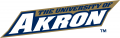 Akron Zips 2002-2007 Wordmark Logo Print Decal