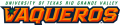 UTRGV Vaqueros 2015-Pres Wordmark Logo 07 Print Decal